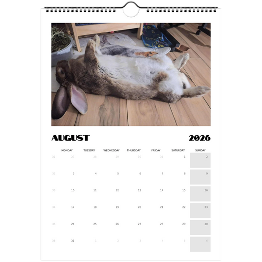 19a9ccfe-07d0-4c33-8512-868c521b3eae