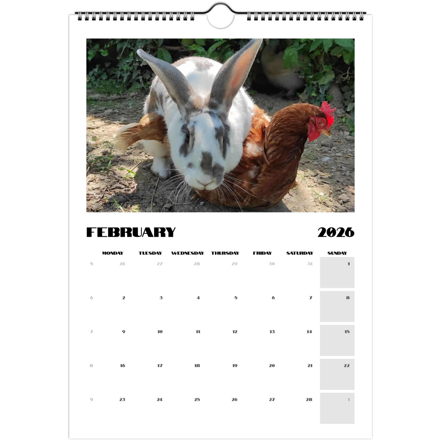 b9cf5f3d-734b-4b10-b7e9-1e000f8eb877