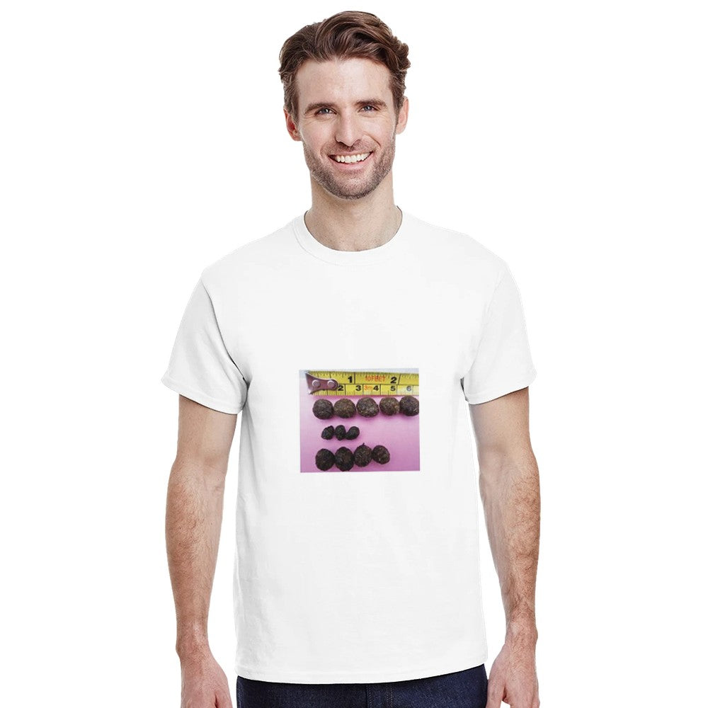 ba0c8b4d-efdb-4861-8bd5-b4fe84a43d00