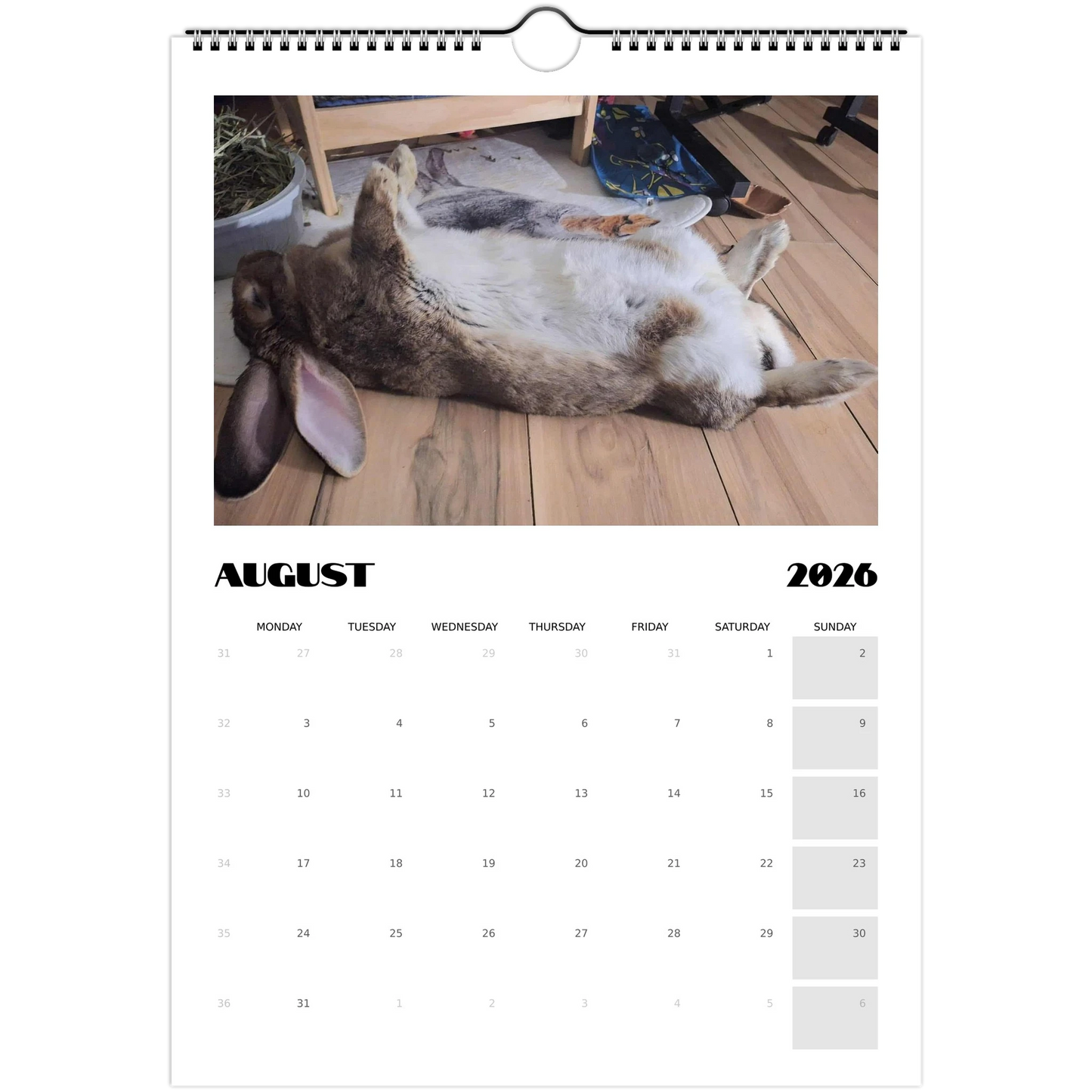 2bc18d61-6efc-477e-a940-c6a919b52c67