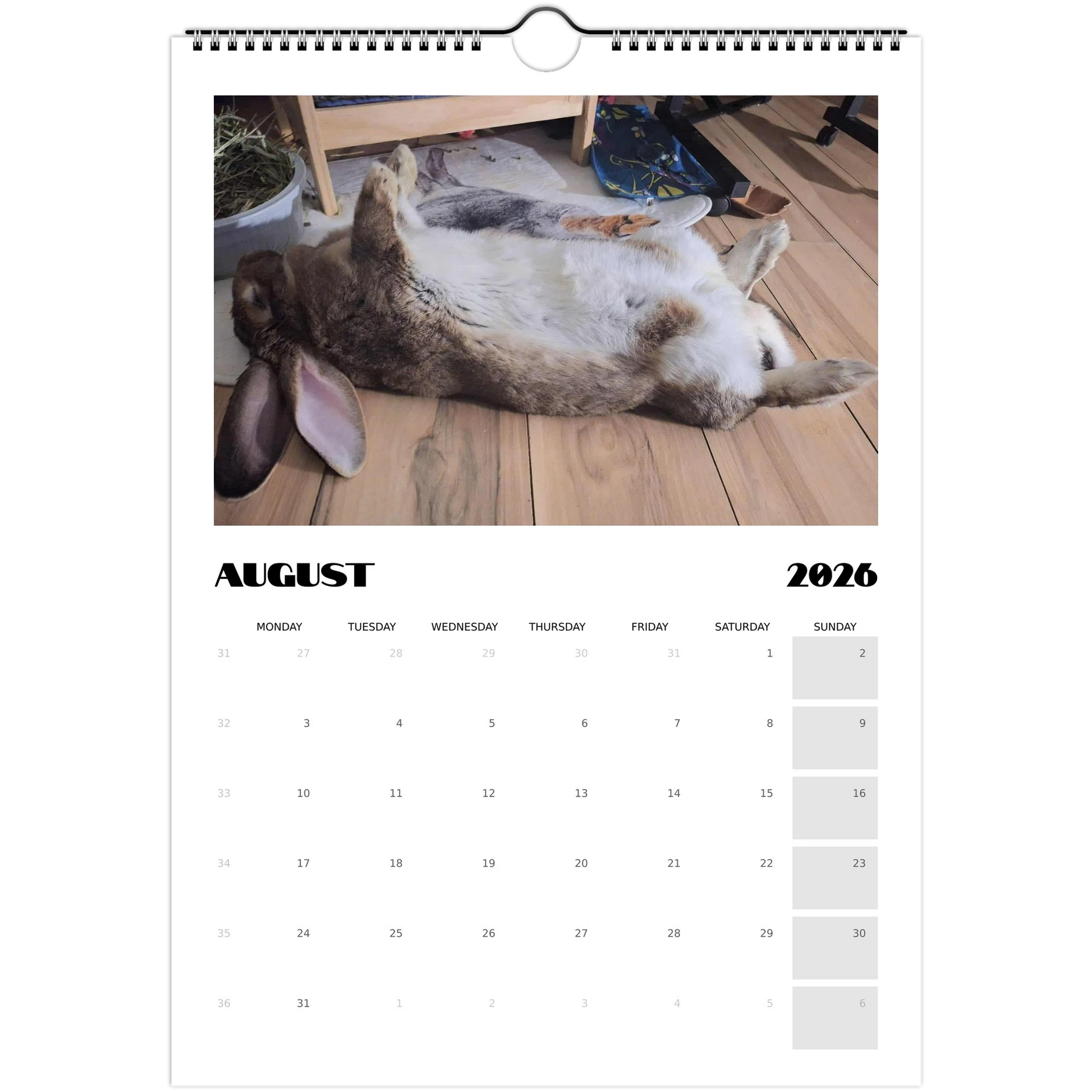 2bc18d61-6efc-477e-a940-c6a919b52c67