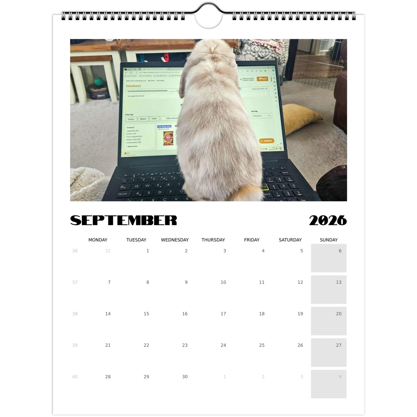 2ee20819-51b2-484c-9415-09f6ca2a36e4