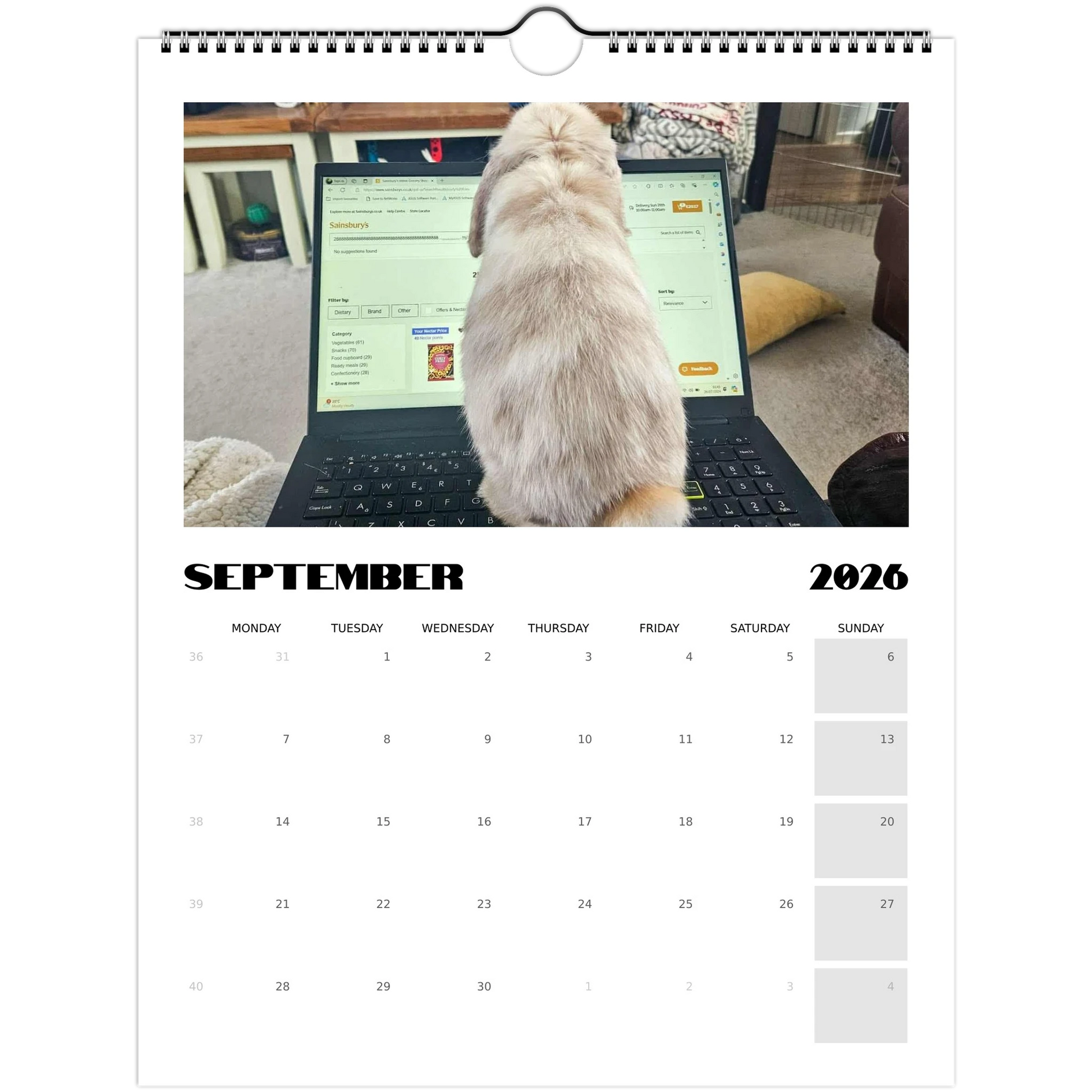 2ee20819-51b2-484c-9415-09f6ca2a36e4