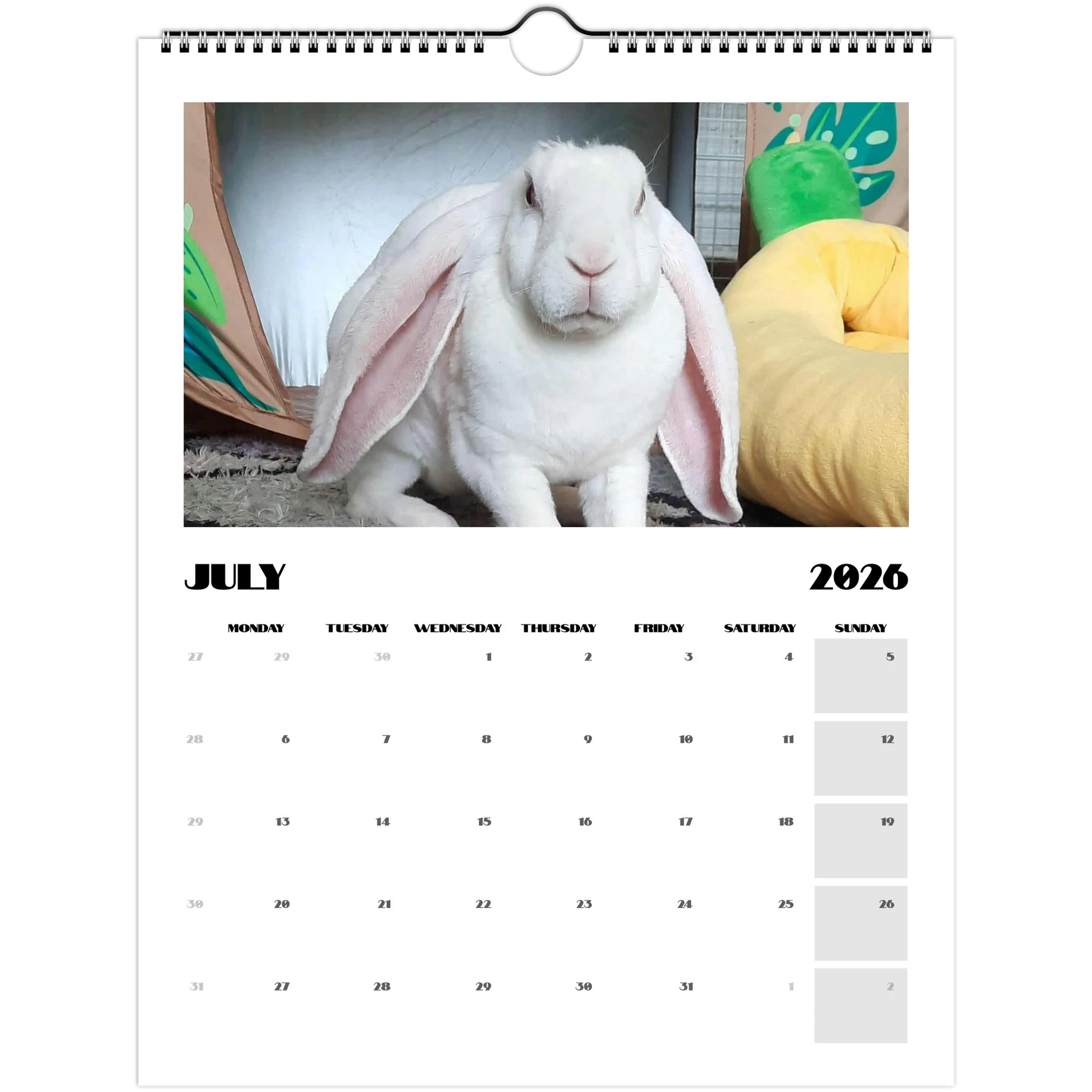 6b3794aa-5871-46b8-a700-3aaa689b59c6