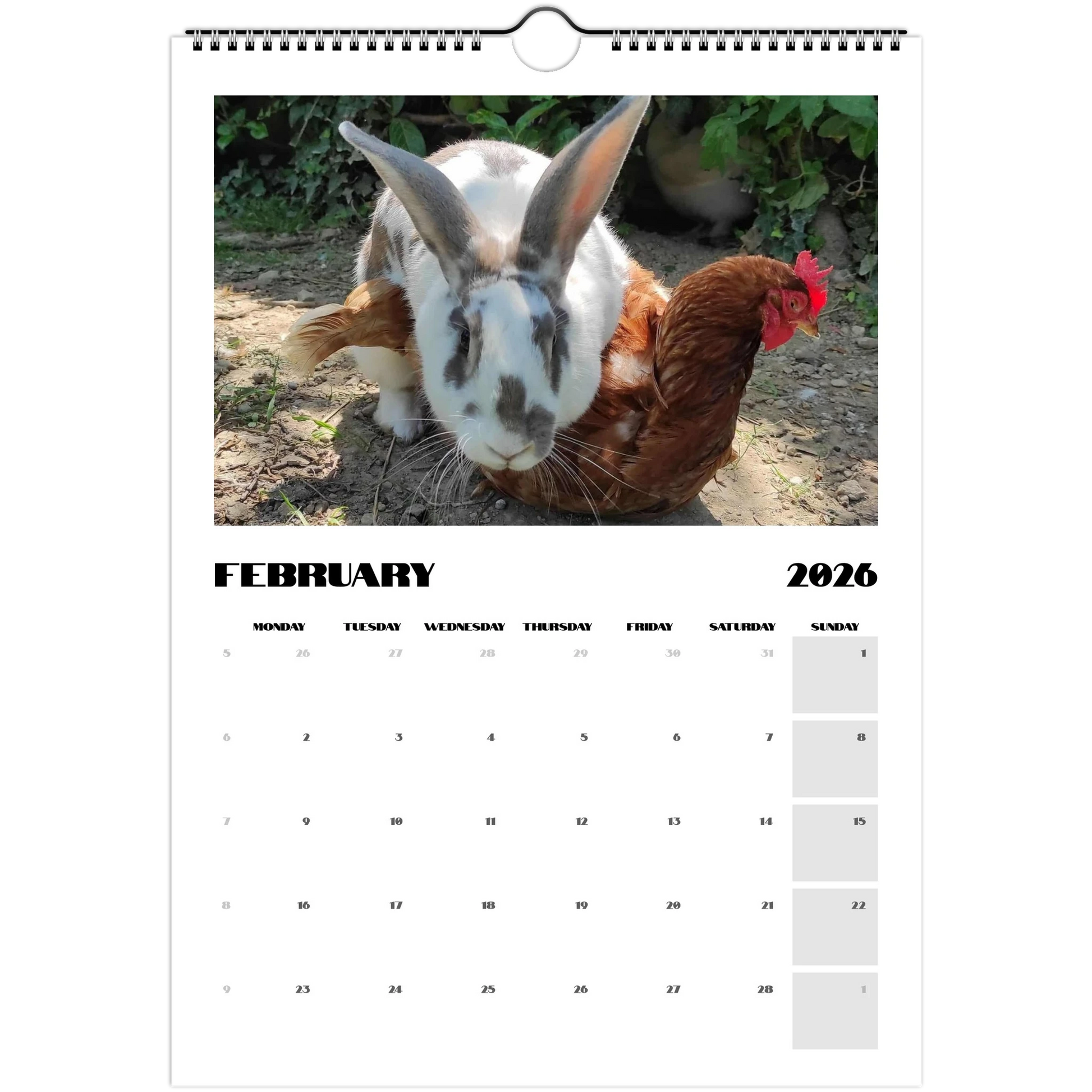 b9cf5f3d-734b-4b10-b7e9-1e000f8eb877