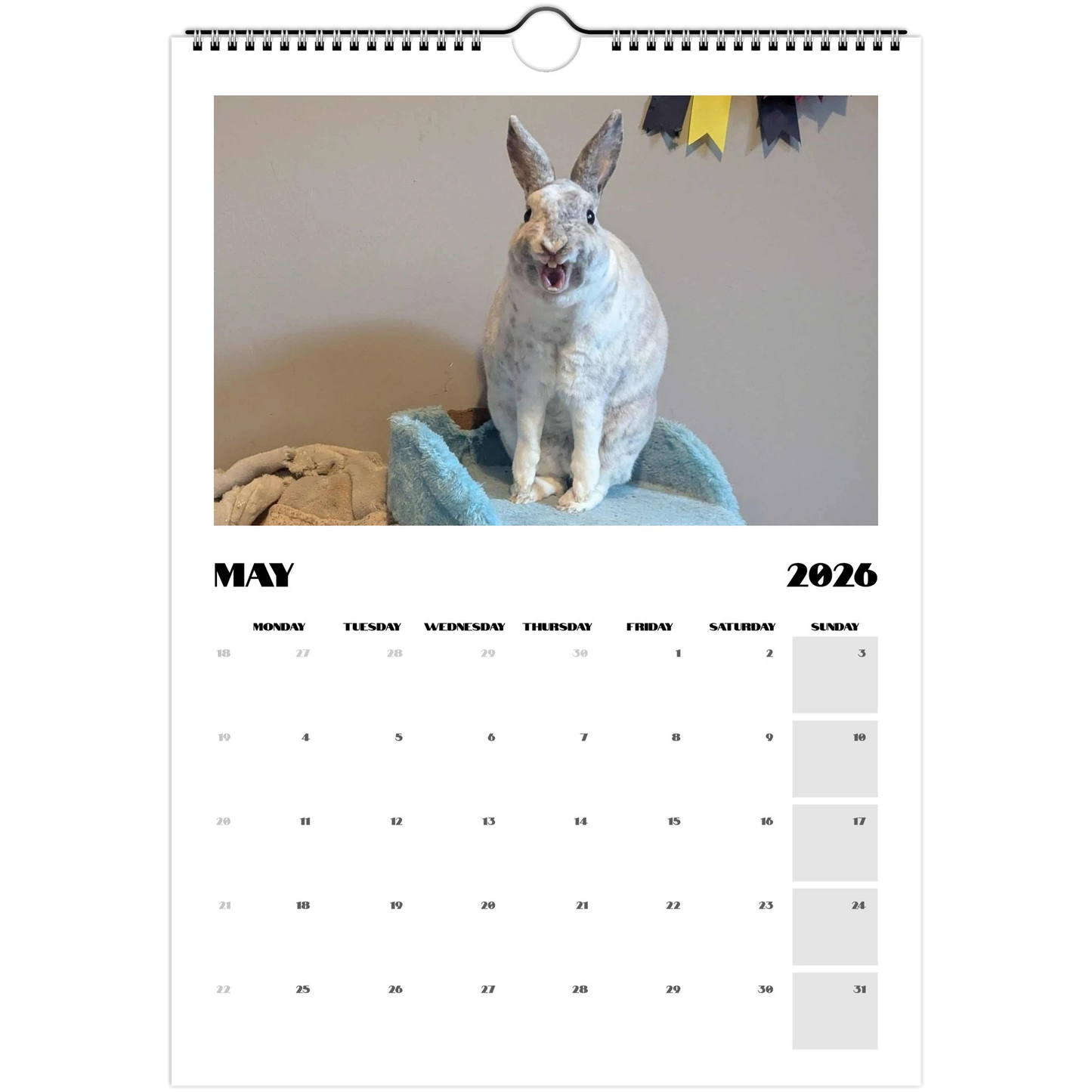 bb94f0ab-8214-47a0-9650-91bd5dbb4ed8