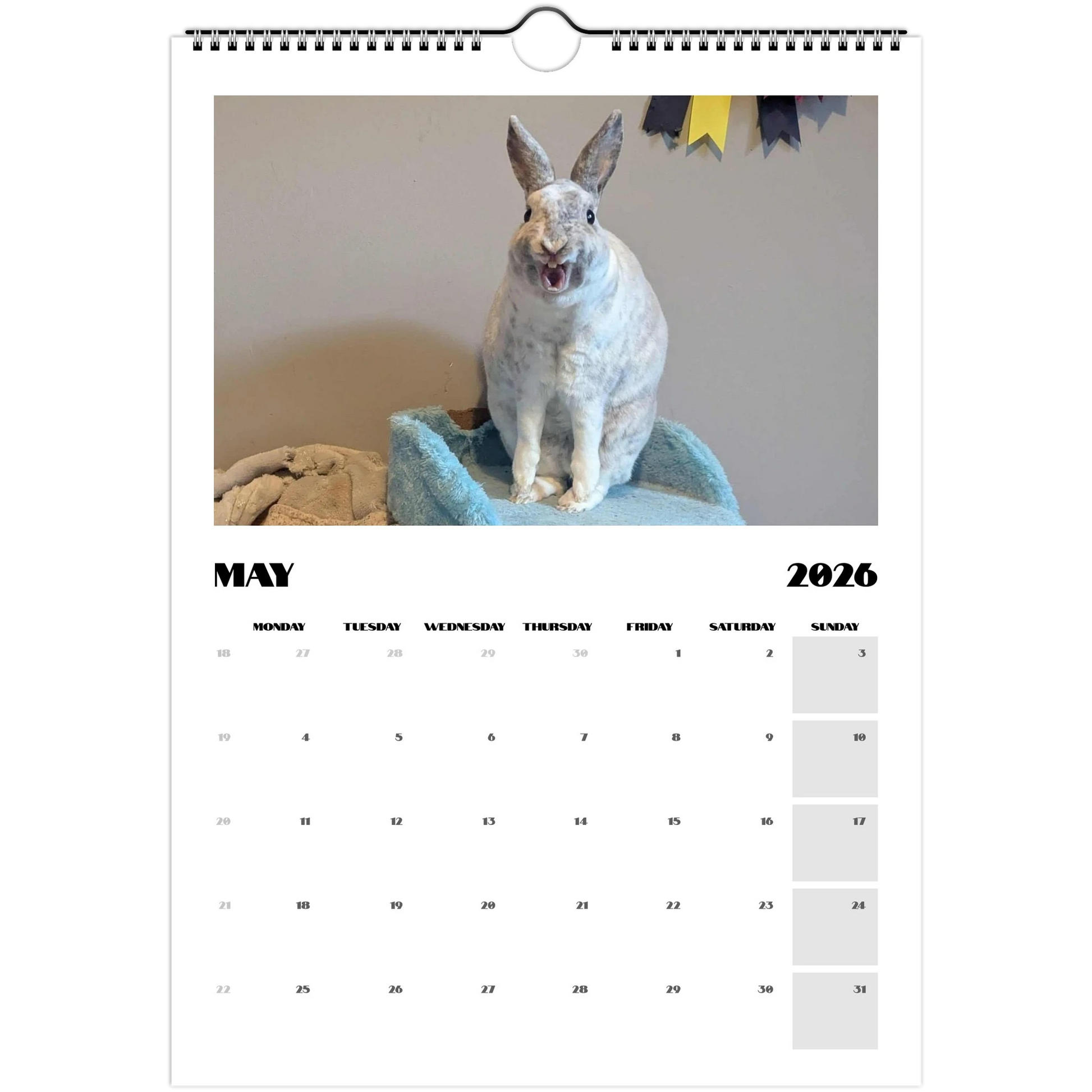 bb94f0ab-8214-47a0-9650-91bd5dbb4ed8