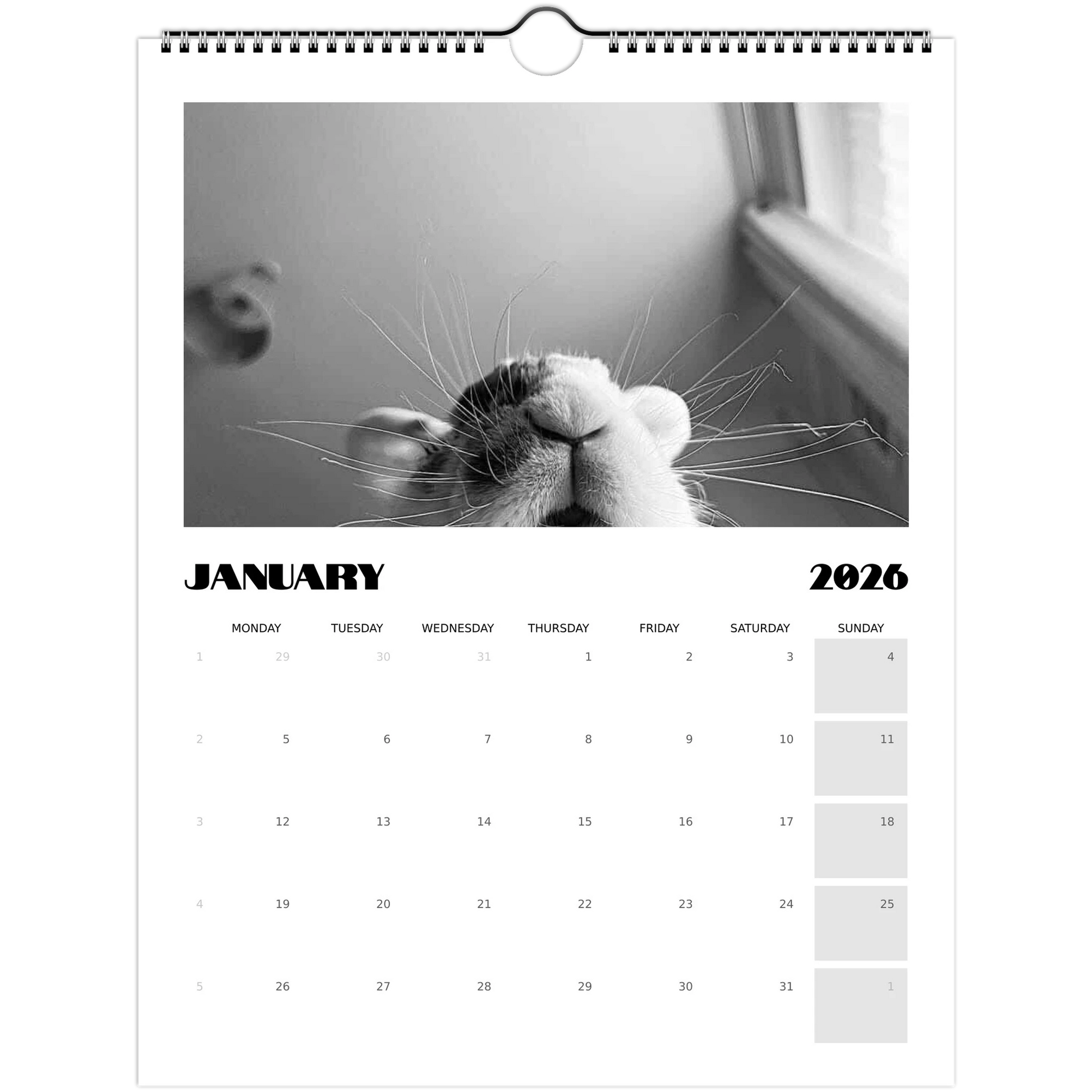 dd696415-d4fe-4953-a4e7-d9aa86e881aa