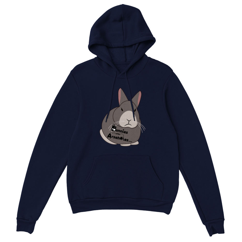 Classic Unisex Pullover Hoodie Apollo logo