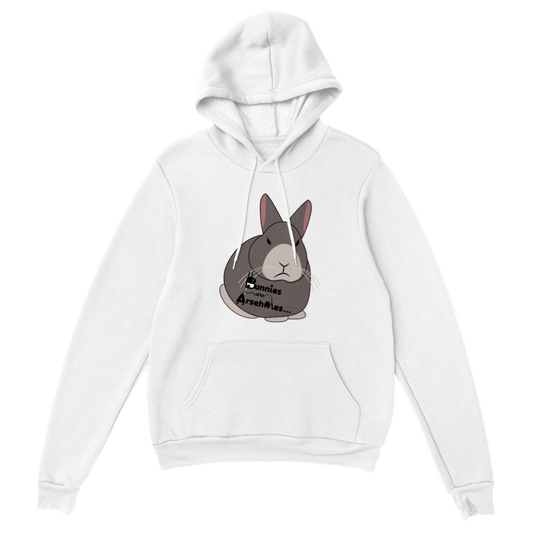 Classic Unisex Pullover Hoodie Apollo logo