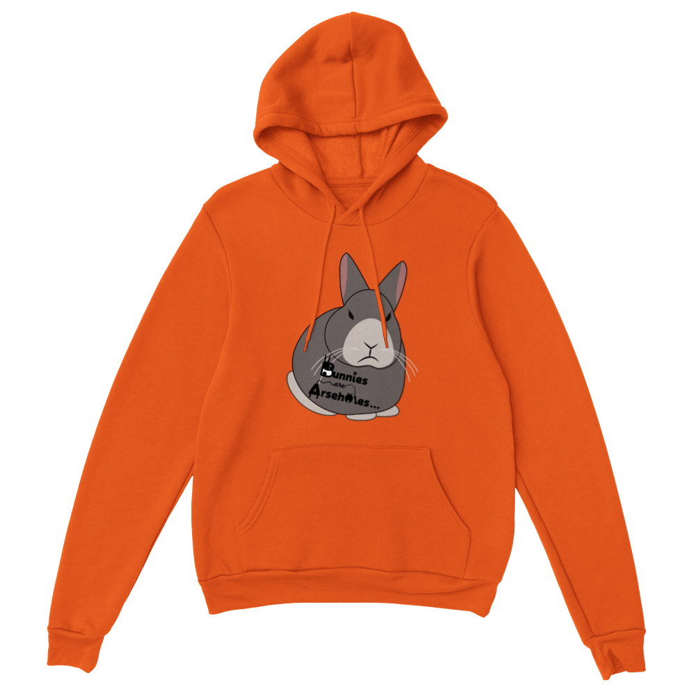 Classic Unisex Pullover Hoodie Apollo logo