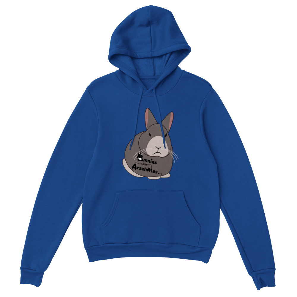 Classic Unisex Pullover Hoodie Apollo logo