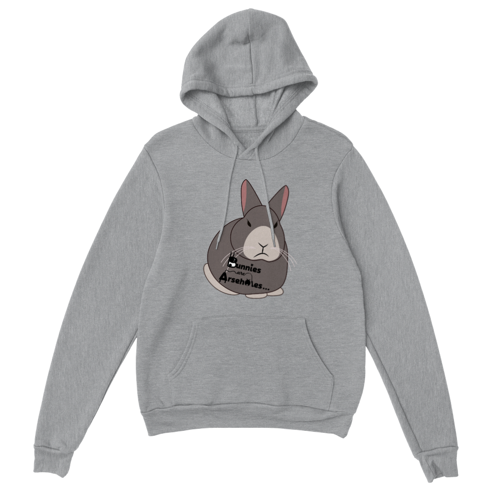 Classic Unisex Pullover Hoodie Apollo logo