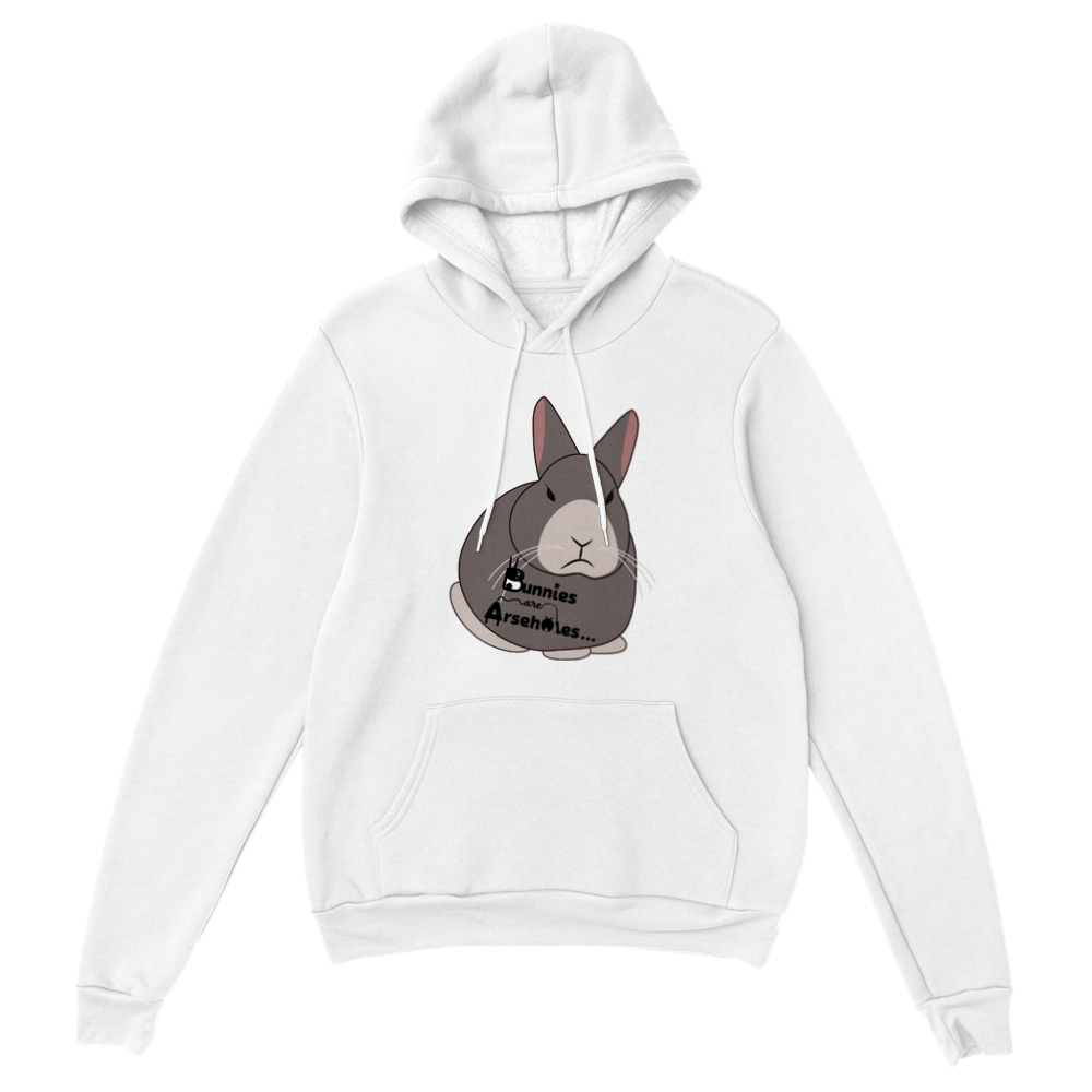 Classic Unisex Pullover Hoodie Apollo logo